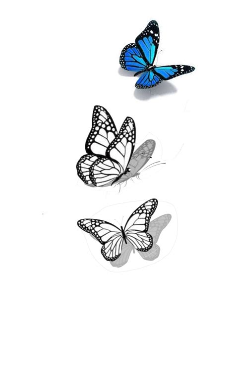 Small Butterfly Tattoo Stencil Food Affair