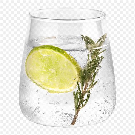Gin And Tonic Rosemary Transparent Premium Png Sticker Rawpixel