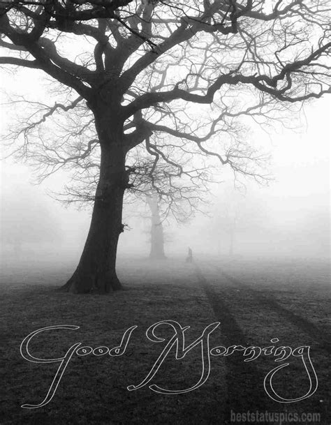 Winter Good Morning Wishes Hd Images Pictures Best Status Pics