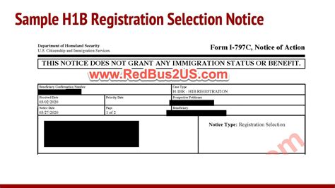 Sample H1b Registration Lottery Selection Notice From Uscis Filing