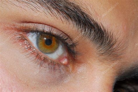 Olhos Cor De Avelã — Fotografias De Stock © Nikonite 1290748