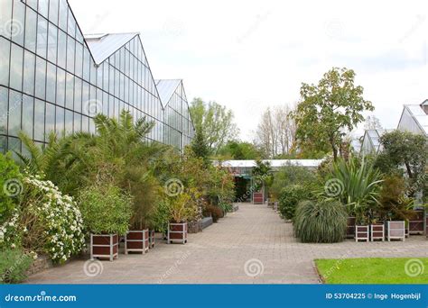 Greenhouses And Exotic Plants Botanical Gardens Netherlands Stock