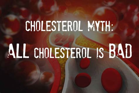 Cholesterol Myths Busted