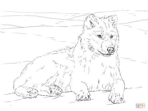 Get This Realistic Wolf Coloring Pages For Adults Free Printable 98601