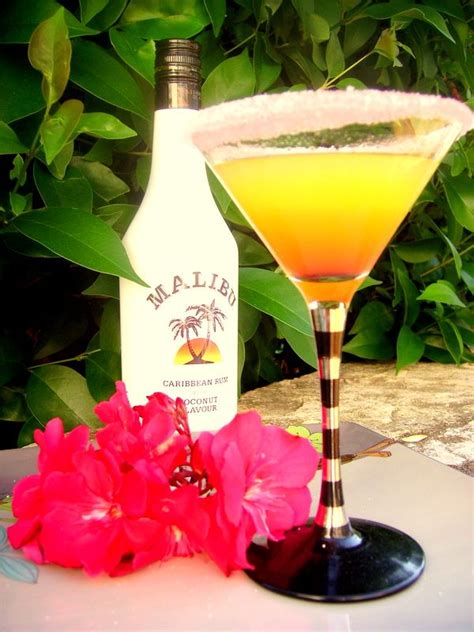 There are pleny of delicious drinks to make with malibu rum. 55 best Malibu Cocktails images on Pinterest | Malibu ...