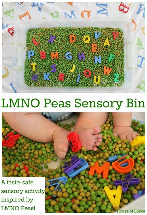 House Of Burke Lmno Peas Sensory Bin Sensory Bins Kids