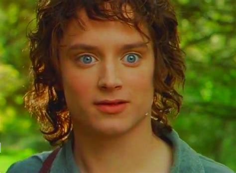 Tolkien's lord of the in the fellowship of the ring, frodo is first introduced as being the son of the late drogo baggins after nearly two decades, frodo leaves the shire at 50 years old, which makes mr. Frodo Baggins | The One Wiki to Rule Them All | FANDOM ...