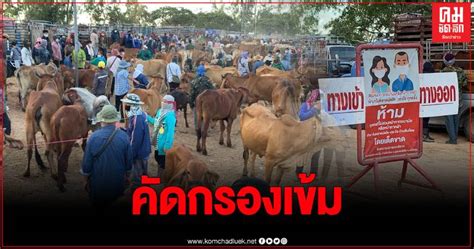 เช็กผลสลากกินแบ่งรัฐบาล อัปเดตจากกองสลาก ตรวจหวย 17 มกราคม 2564 รางวัลที่ 1 รางวัลเลขท้าย 2 ตัว รางวัลเลขหน้า 3 ตัว เลขท้าย 3 ตัว และรางวัลอื่นๆ คุมเข้มตลาดนัดโค-กระบือ จัดระเบียบตรวจคัดกรองเข้มป้องกันโค ...