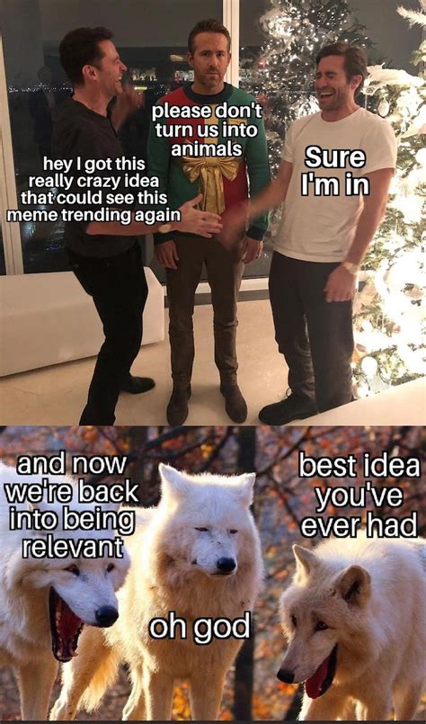 Check spelling or type a new query. These White Wolves Laughing Memes Are Taking Over (20 Pics)