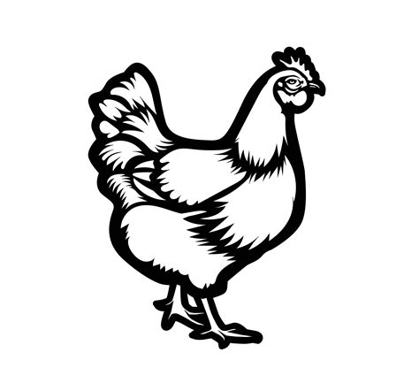 Chicken Svg Svg Cut File Car Decal Svg Instant Download