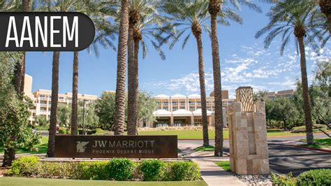 Efgartigimod Offers Hope in Chronic Inflammatory Demyelinating