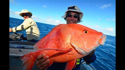 More Big Fish Kaos Deep Sea Fishing Video Great Barrier Reef Part