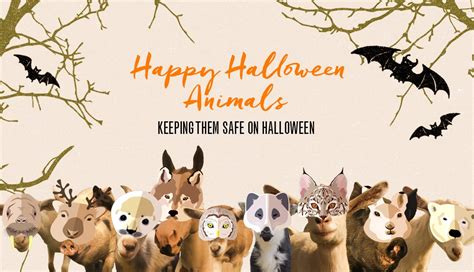 Happy Halloween Animals The Daily Squeal