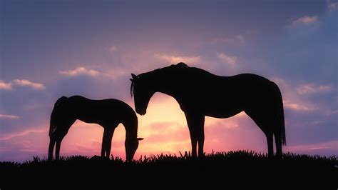 Horse with wings, unicorn tattoo illustration. silhouette horse sunset cgi Wallpapers HD / Desktop and ...