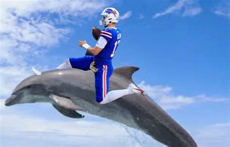 13 Best Bills Vs Dolphins Memes And Tweets Step Out Buffalo