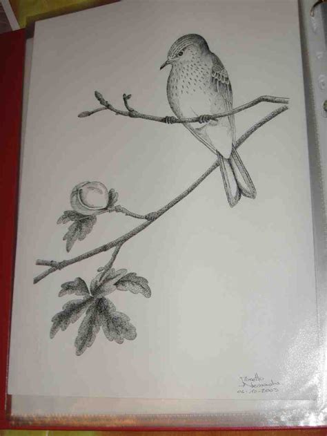 Disegni da colorare e stampare per bambini. altri disegni di animali , Forum Natura Mediterraneo ...