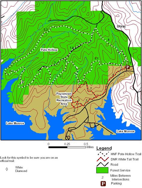 Map Of Pate Hollow Trail In Hoosier National Forest In Indiana