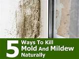 Photos of Natural Mold Removal Vinegar