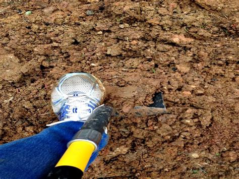 ↑ the name comes from the black gumbo soil prevalent in the area.blr operates a 65.6 mile line, under contract with the northeast texas rural… … how to amend clay soil | Amending clay soil, Clay soil, Soil