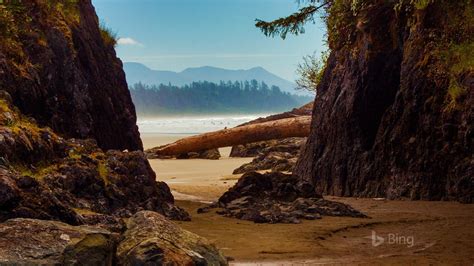 Canada Beach Near Tofino Vancouver Island 2017 Bing