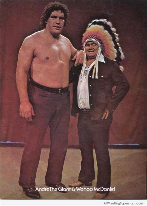 Color in this picture of andre the giant and share it with others today! Andre The Giant & Wahoo McDaniel - WWE Superstars ...