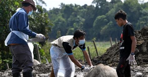 Savesave klinik veterinar for later. Kerbau Syukur: Jabatan Veterinar Mula Suntikan Antibiotik ...