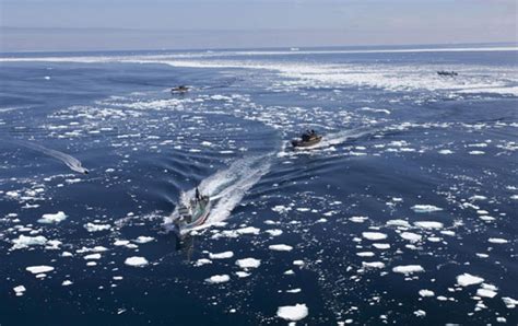 Japanese Whalers Activists Clash Off Antarctica