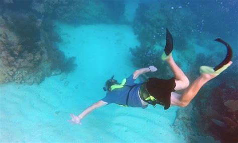 Snorkeling At Sombrero Reef Marathon Fl Picture Of Starfish