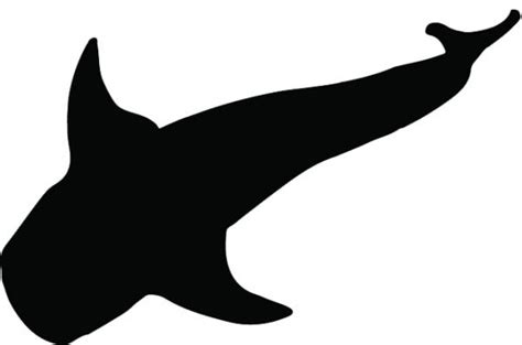 Designs By Pronus Silhouette Drawing Of A Whale Shark