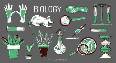 Descarga Vector De Conjunto De Ilustración De Elementos De Biología