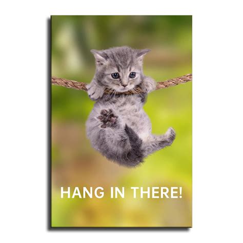 Hang In There Cat Poster Ubicaciondepersonascdmxgobmx