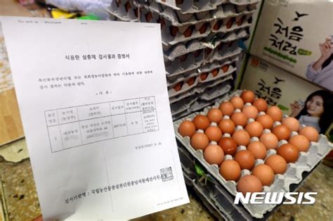 종합2보 살충제 계란 검출농장 7곳으로 늘어부적합은 6곳 공감언론 뉴시스통신사