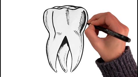 How To Draw A Tooth 🦷 Back Molar Youtube