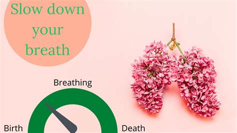 Breathing Techniques Can You Live Longer If You Slow Your Breath