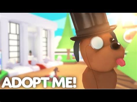 TOP 10 RAREST PETS IN ADOPT ME MAY 2021 UPDATE! - YouTube