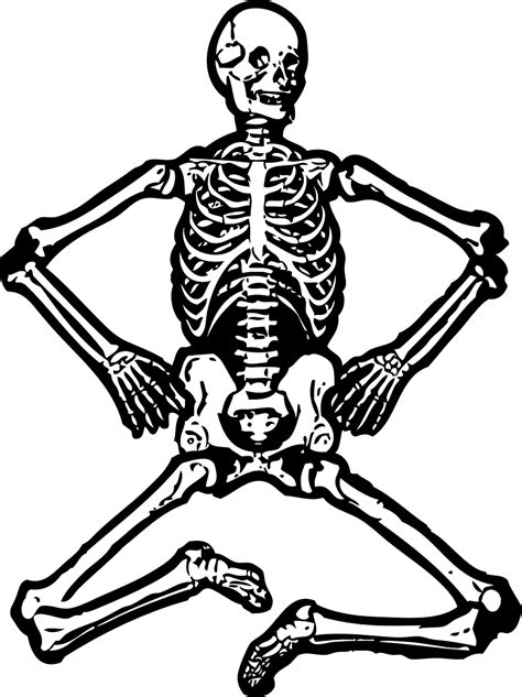 esqueleto dibujo png