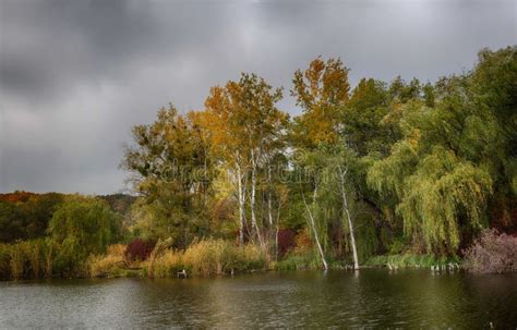 Overcast Autumn Day Stock Image Image Of Color Rainy 102761505