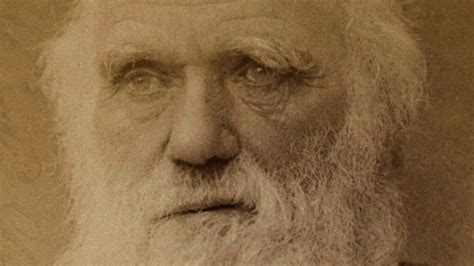 Charles Darwin Early Life Theories And Books Malevus