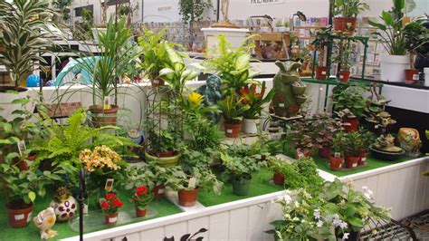 Maybe you would like to learn more about one of these? Gift Garden - Rainbow Gardens