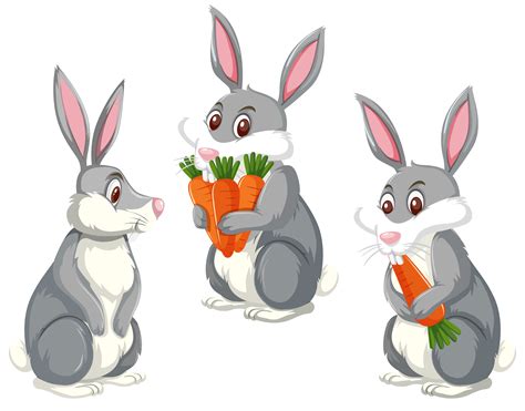Set Of Three Cute Rabbits Vector Art At Vecteezy