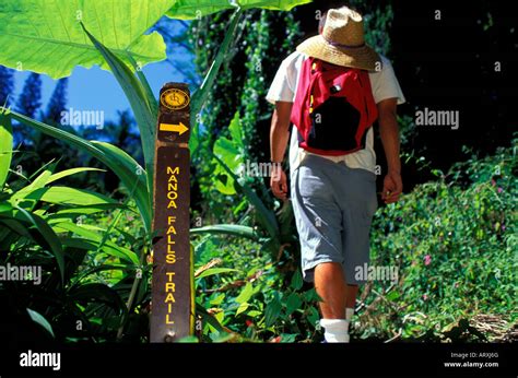 Hiker On Makiki Trail Tantalus Oahu Stock Photo Alamy