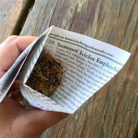 Make Your Own Origami Seed Packet Garden Variety Life