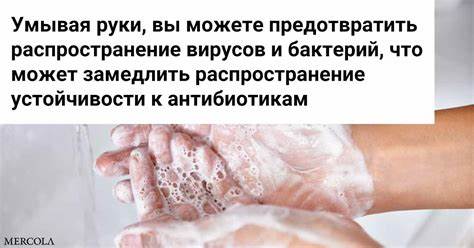 Диета при инфекциях стол Стол 4 при кишечных инфекциях - 91 фото Стол 4 при кишечных инфекциях - 91 фото Диета при инфекциях стол