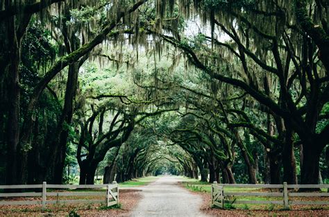 Free Things to do in Savannah, GA