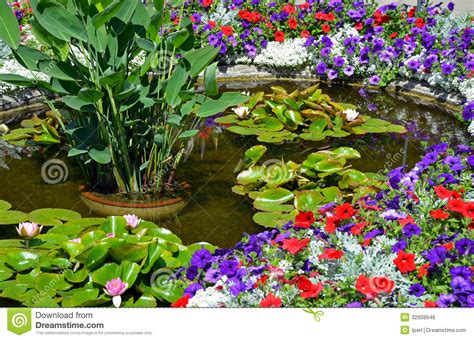 Colorful Summer Garden Pond Stock Photo Image Of Water