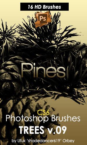 Pine Trees Photoshop Brushes Free Download