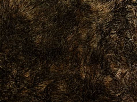 Teddy Bear Faux Fur Fabric At Yarn Paradise