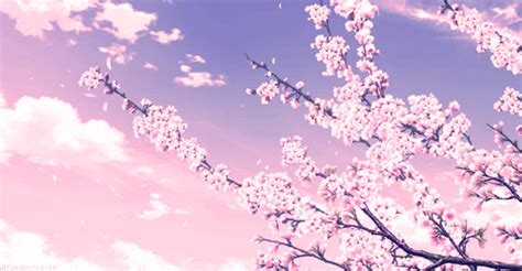Vanillashiba Anime Scenery Wallpaper Sky Anime Scenery