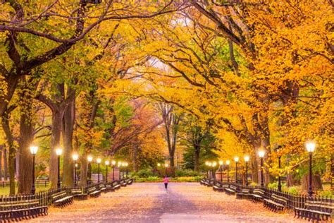 7 Best New York City Spots For Nature Lovers The Travelers Way
