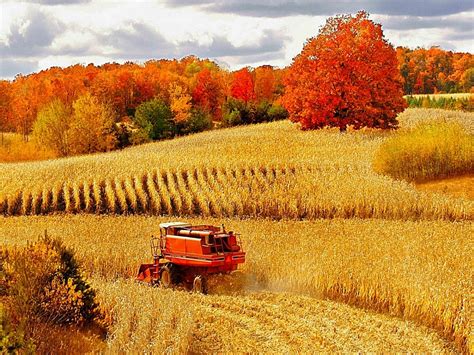Harvest Scenes Yahoo Image Search Results Country Farm Country Life Country Living Country